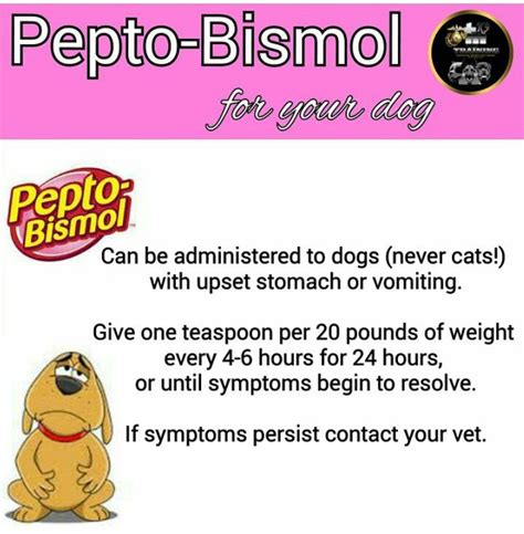 dog ate pepto bismol|pepto bismol dosing for dogs.